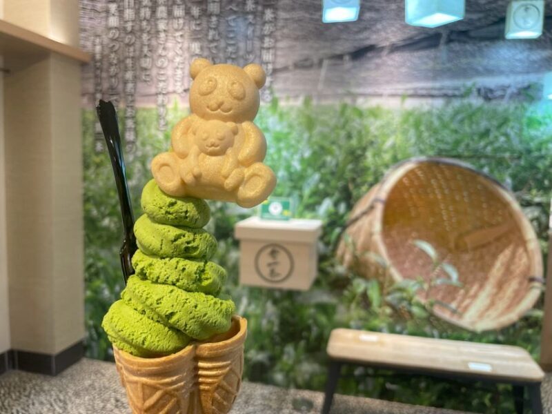 Tokyo: Anywhere you like! Tokyo Customized Tour in 5 hours - Final Thoughts