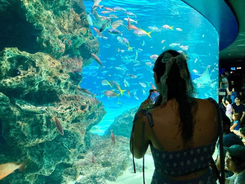 tokyo-aquarium-backyard-tour-and-tokyo-view-observatory