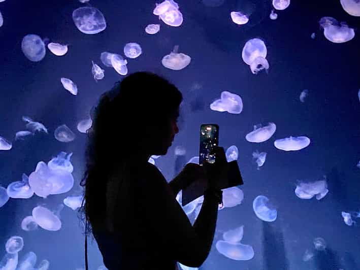 tokyo-aquarium-backyard-tour-and-tokyo-view-observatory