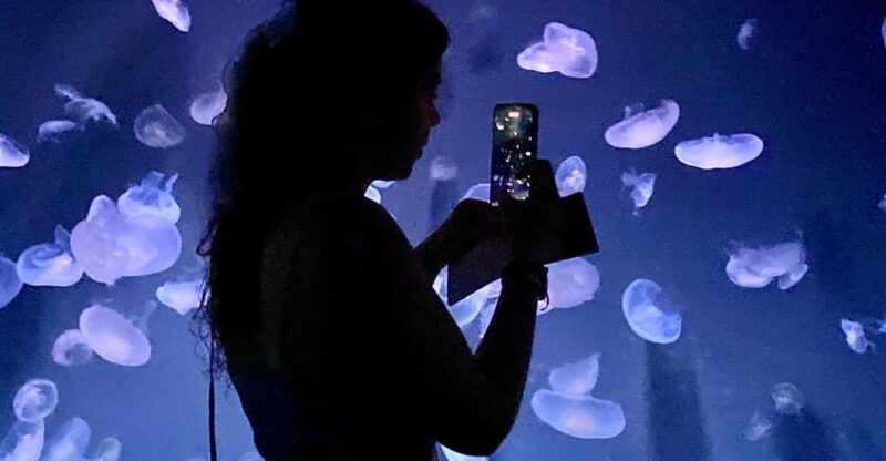 tokyo-aquarium-backyard-tour-and-tokyo-view-observatory