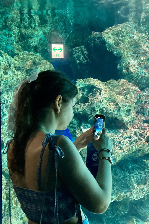 tokyo-aquarium-backyard-tour-and-tokyo-view-observatory