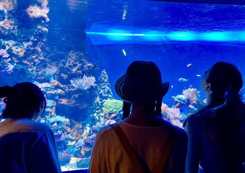 tokyo-aquarium-backyard-tour-and-tokyo-view-observatory