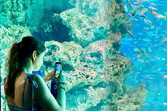 Tokyo, Aquarium Backyard Tour and View Observatory in Ikebukuro - Key Points