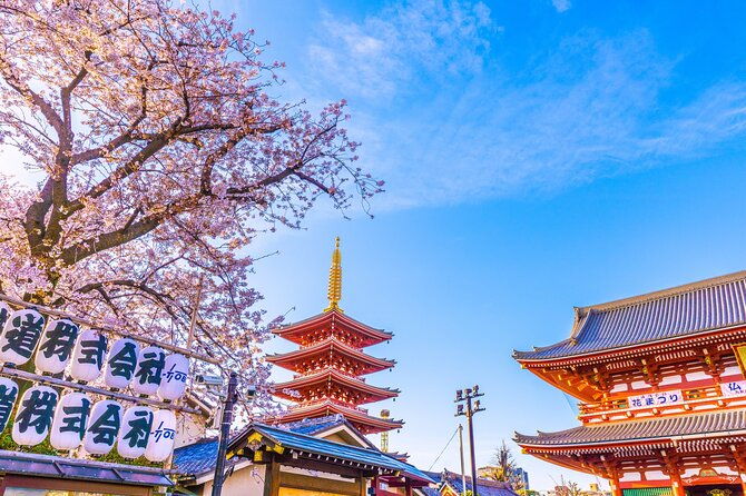 tokyo-asakusa-food-tour-local-bar-hopping-2