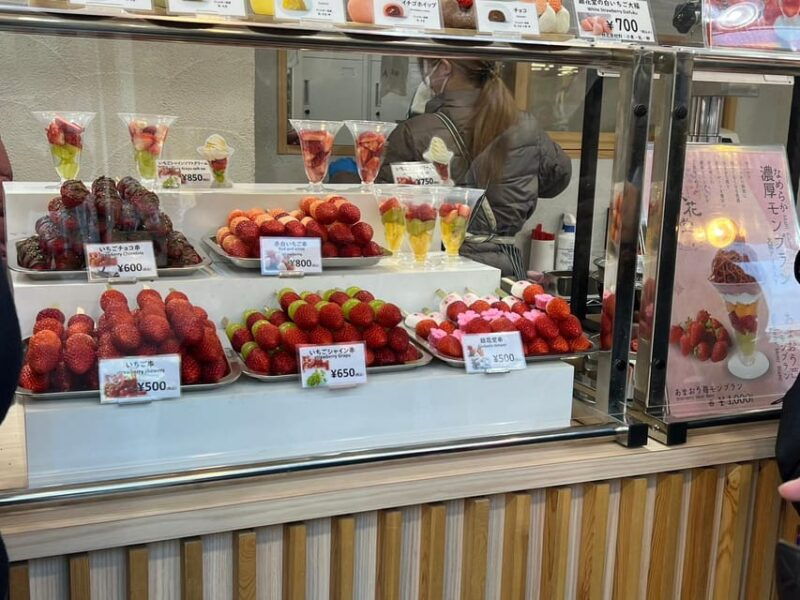 tokyo-asakusa-history-and-traditional-downtown-walking-tour