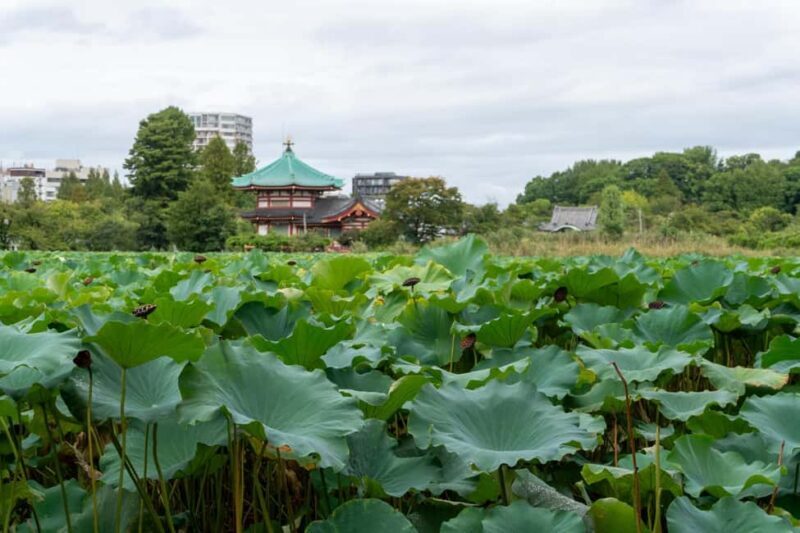 Tokyo: Asakusa & Kanda Myojin & Ueno Guided Tour - The Charm of Kanda Myojin and Ueno