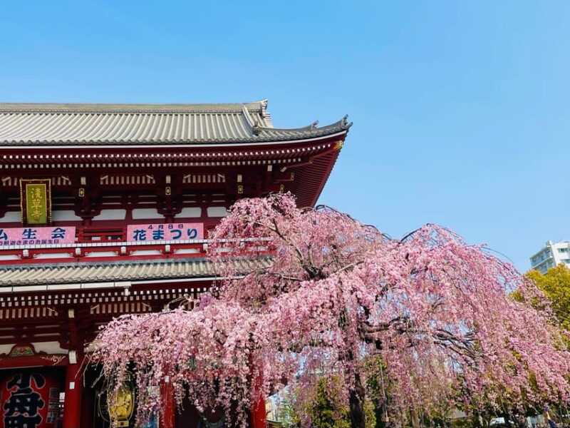 tokyo-asakusa-senso-ji-temple-private-walking-tour