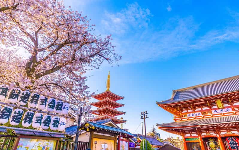 tokyo-asakusa-sensoji-temple-walking-tour-with-a-local