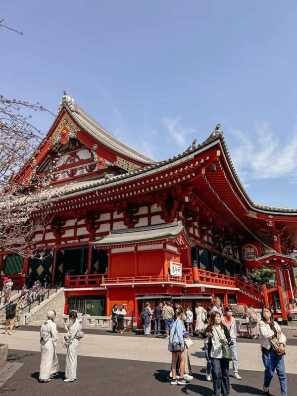 Tokyo: Asakusa, Yanaka, and a tour away from the tourist crowds. - Who Will Love This Tour?