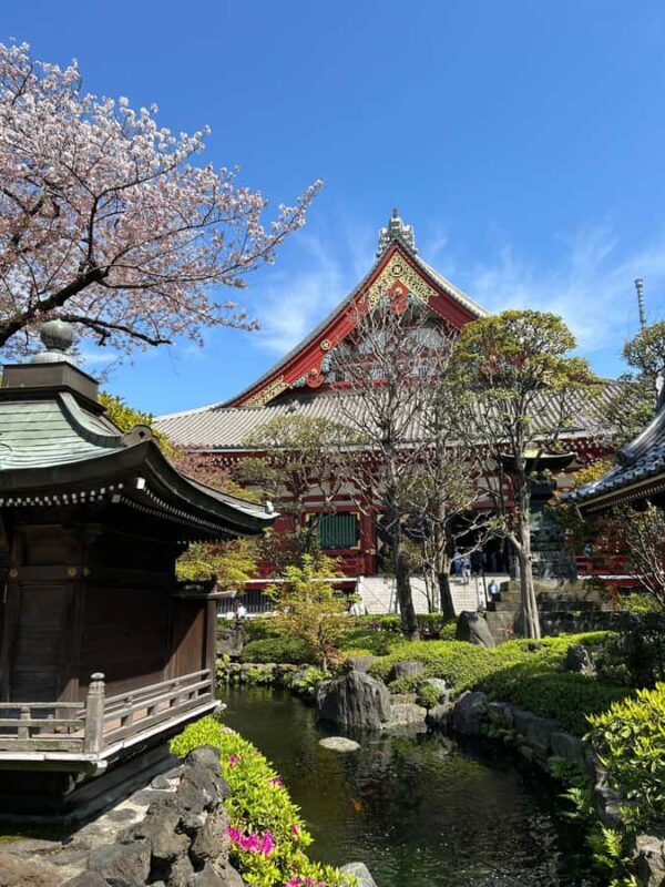 Tokyo: Asakusa, Yanaka, and a tour away from the tourist crowds. - Final Thoughts