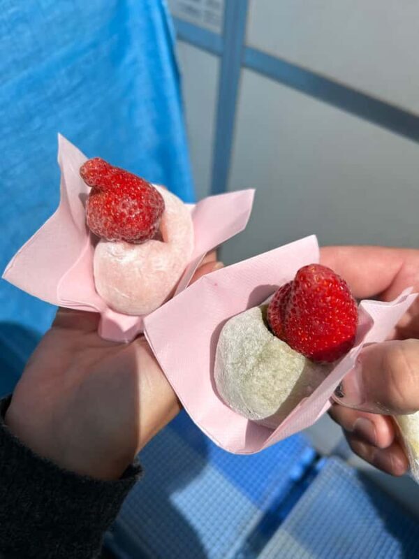 Tokyo: Asakusa, Yanaka, and a tour away from the tourist crowds. - FAQs