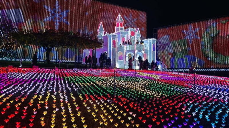 Tokyo: Ashikaga Flower Park with Entry Ticket - Key Points