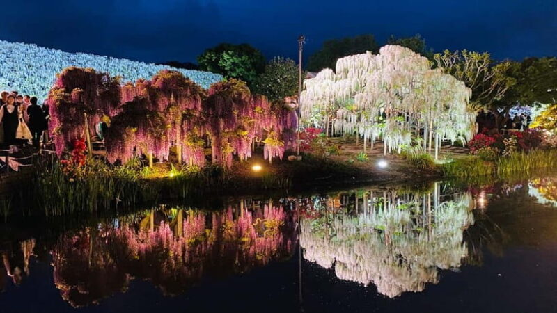 Tokyo: Ashikaga Flower Park with Entry Ticket - Final Thoughts