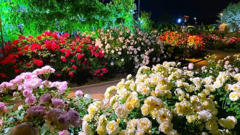 Tokyo: Ashikaga Flower Park with Entry Ticket - Frequently Asked Questions