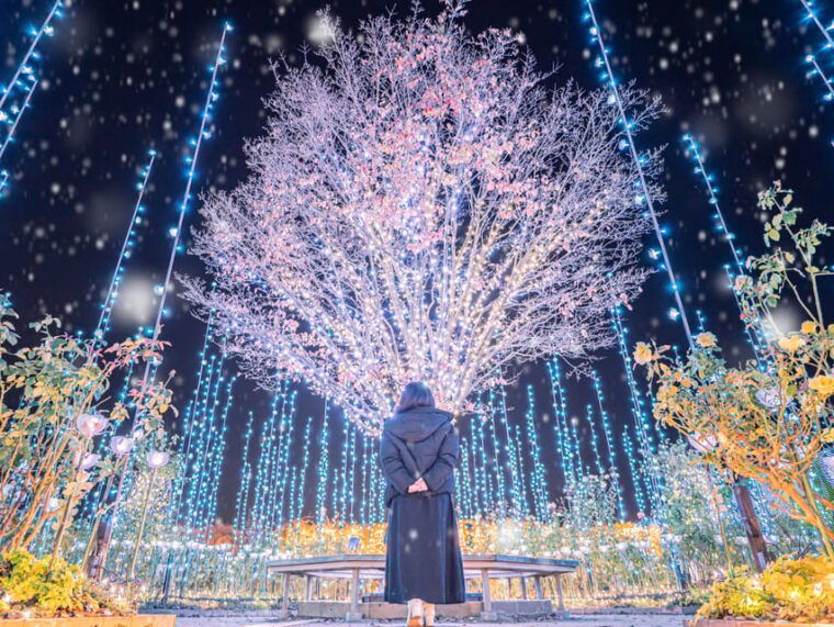 tokyo-ashikaga-flower-park-with-entry-ticket