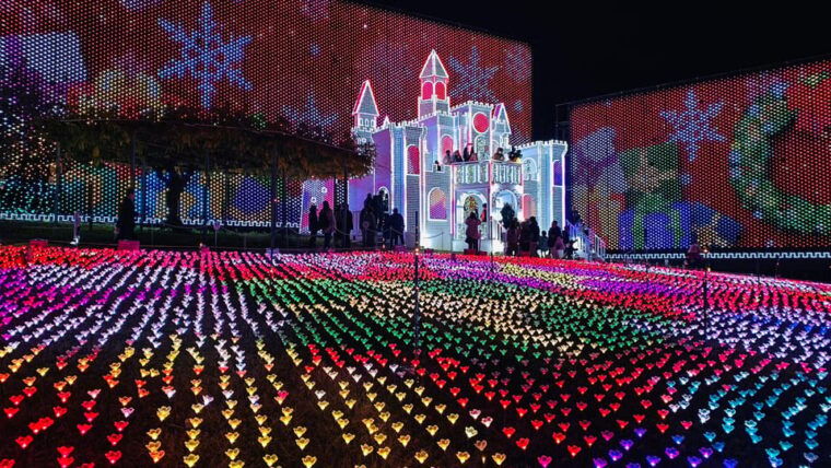 tokyo-ashikaga-flower-park-with-entry-ticket