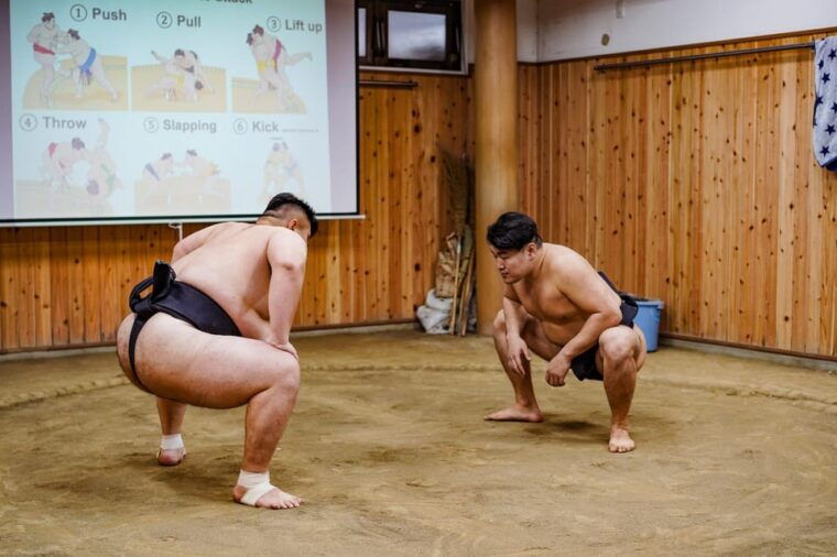 tokyo-authentic-sumo-wrestling-experience-with-lunch