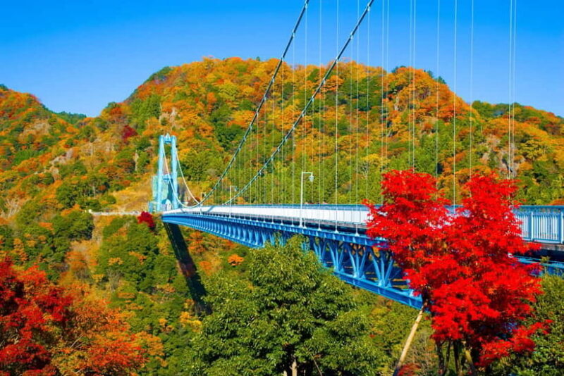 Tokyo: Autumn Hitachi Seaside Park, Fukuroda Falls & Ryujin - Key Points
