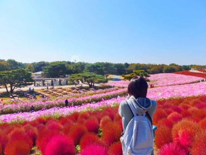 Tokyo: Autumn Hitachi Seaside Park, Fukuroda Falls & Ryujin - The Itinerary Breakdown: What to Expect