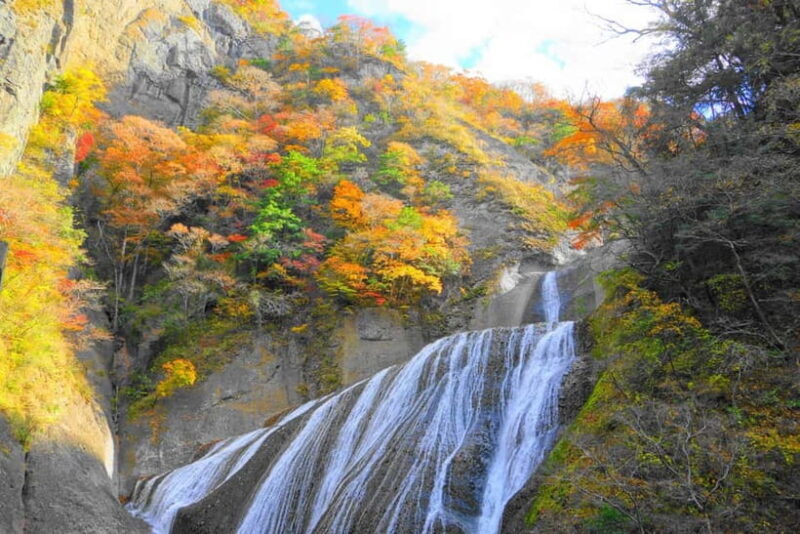 Tokyo: Autumn Hitachi Seaside Park, Fukuroda Falls & Ryujin - Frequently Asked Questions