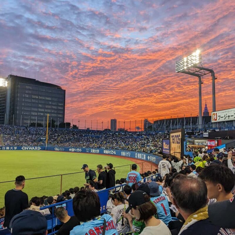 Tokyo: Baseball Game Experience with Local Guide & Snacks - Key Points