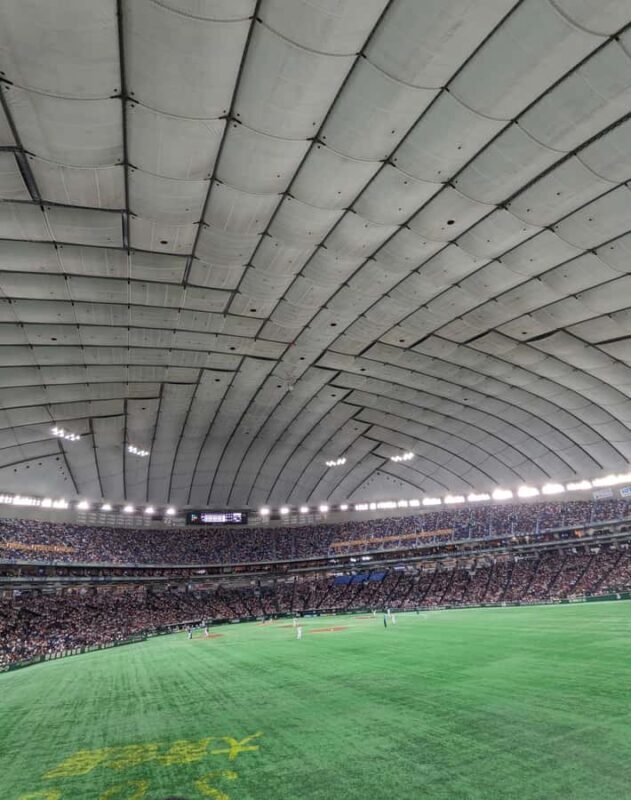 Tokyo: Baseball Game Experience with Local Guide & Snacks - A Closer Look at the Itinerary