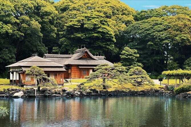 Tokyo Bay and Tsukiji Fish Market - Key Points