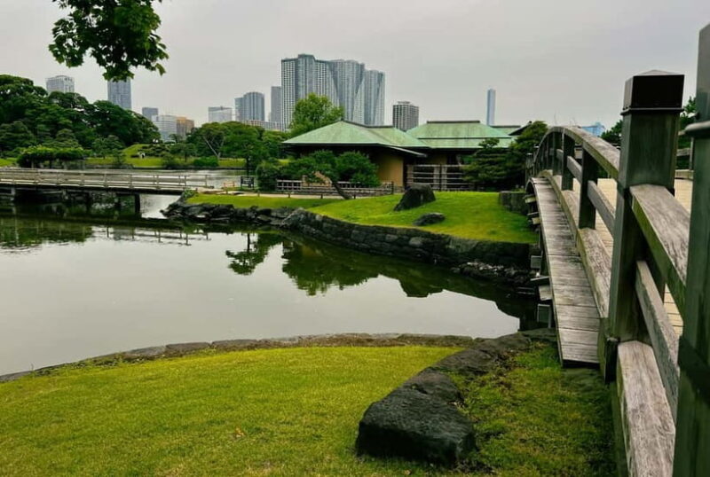 Tokyo Bay and Tsukiji Fish Market - Key Points