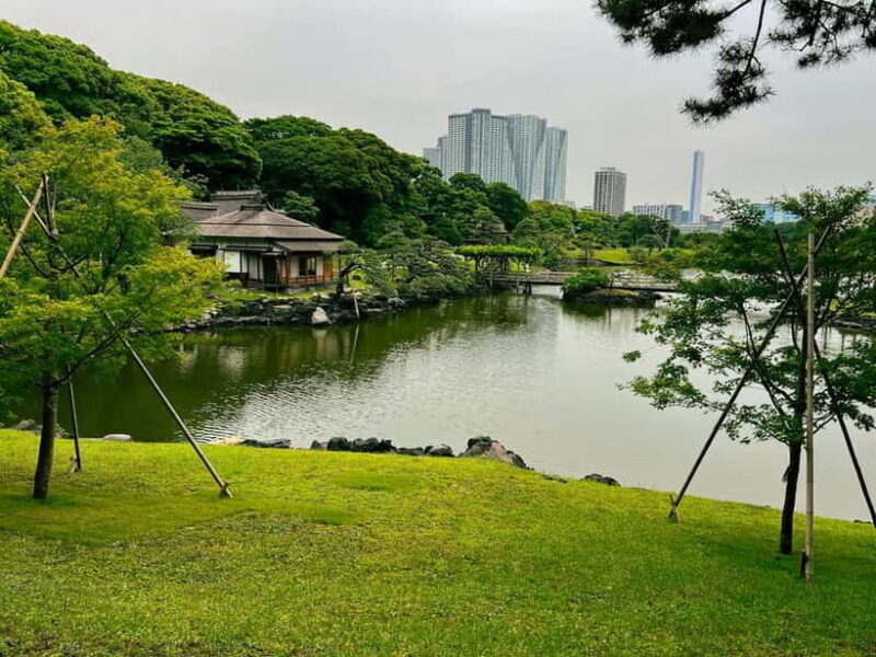 Tokyo Bay and Tsukiji Fish Market - Exploring Tokyo Bay and Odaiba: The Waterfront’s Hidden Charms