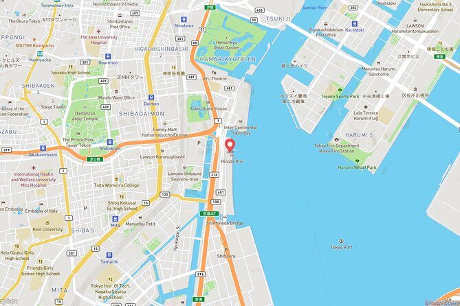 Tokyo Bay Cruise Adventure with options - Who Should Book This Tour?