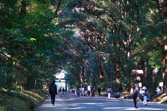 tokyo-best-west-part-tour-by-public-transportation