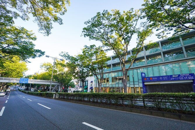 tokyo-best-west-part-tour-by-public-transportation