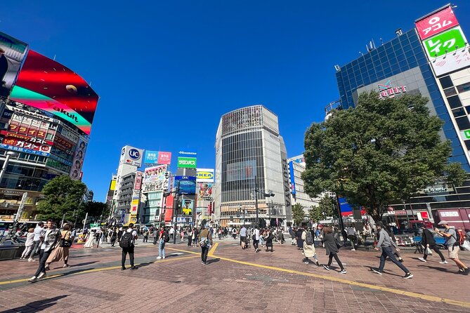 tokyo-best-west-part-tour-by-public-transportation