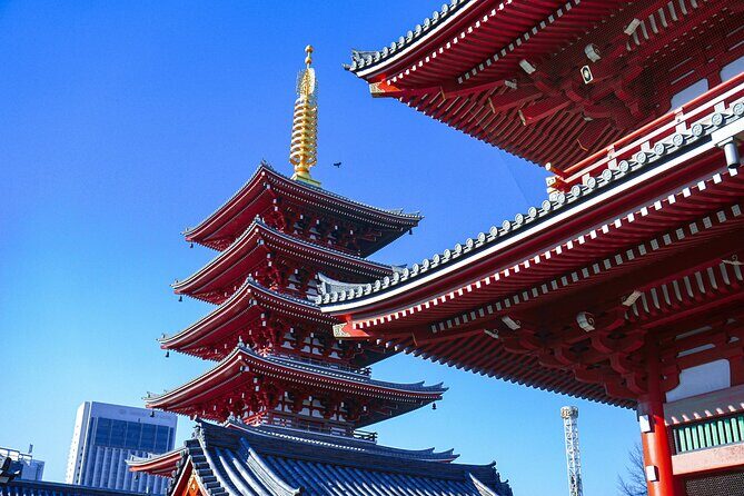 Tokyo: Big Highlights - Asakusa, Shibuya & Meiji Shrine tour - Key Points