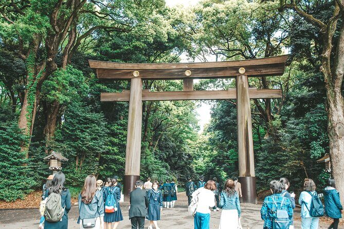 Tokyo: Big Highlights - Asakusa, Shibuya & Meiji Shrine tour - A Deep Dive Into the Itinerary