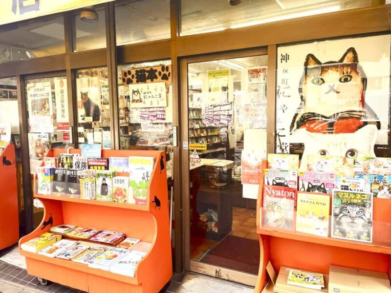 Tokyo: Cat-themed Bookstore & Shinjuku Cat cafe Night Tour - Exploring Tokyo’s Cat World: A Unique Night Tour for Feline Fans