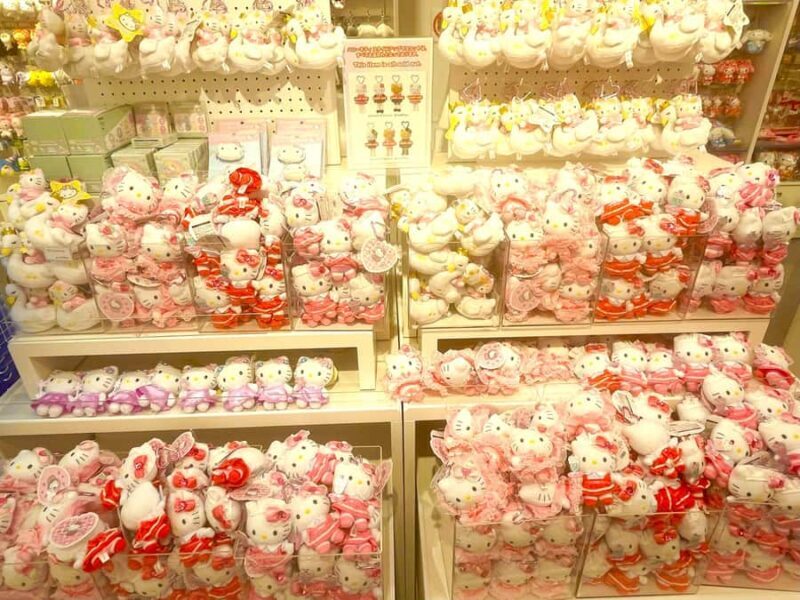 Tokyo: Cat-themed Bookstore & Shinjuku Cat cafe Night Tour - FAQ