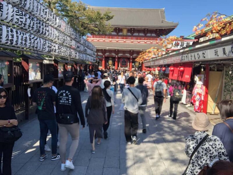 Tokyo: Cherry Blossom Full-Day Tour with Local Expert Guide - Who Should Consider This Tour?