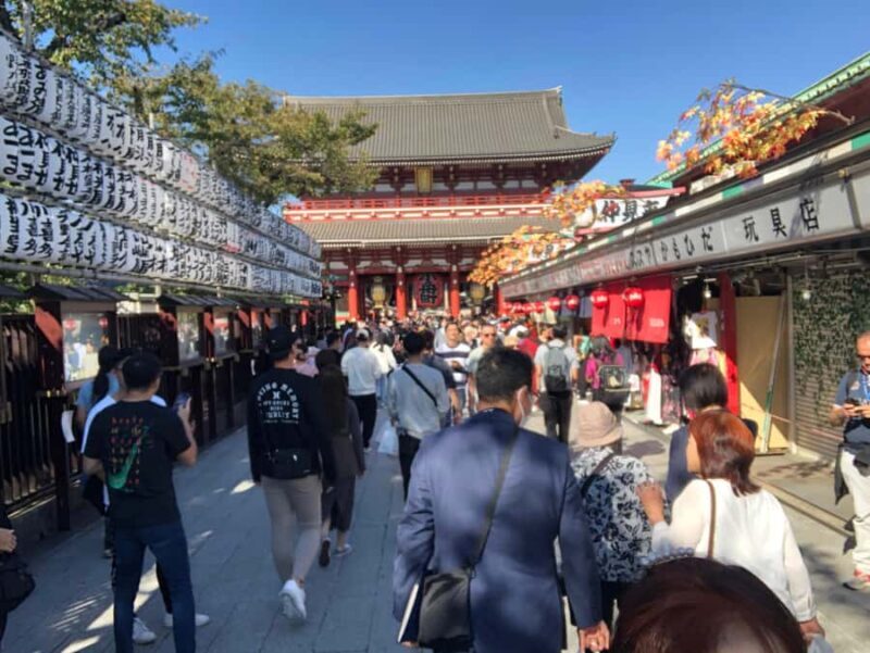 Tokyo: Cherry Blossom Full-Day Tour with Local Expert Guide - FAQ