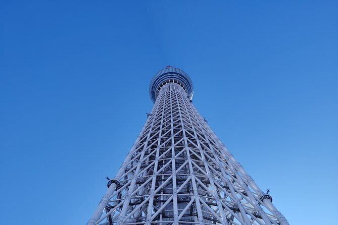 Tokyo Cherry Blossom Half Day Walking Tour with a Local Guide - Who Would Get the Most Out of This Tour?