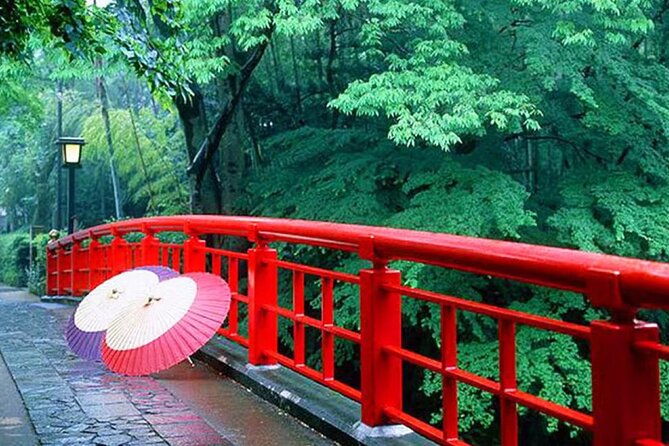 tokyo-cherry-blossom-hot-spring-and-strawberry-picking-tour