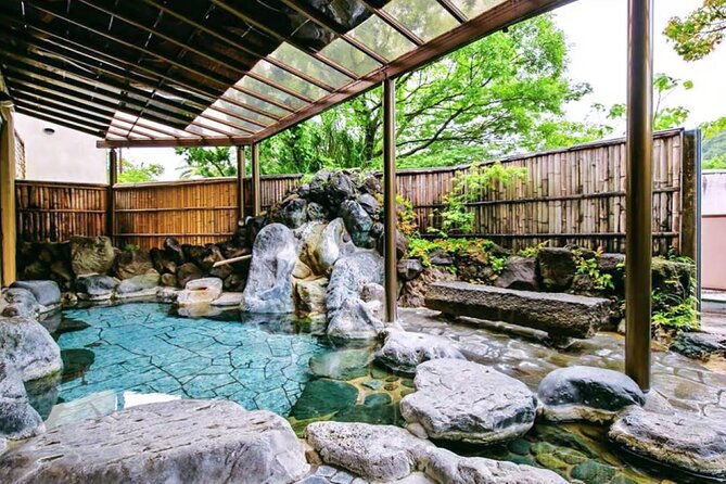 tokyo-cherry-blossom-hot-spring-and-strawberry-picking-tour
