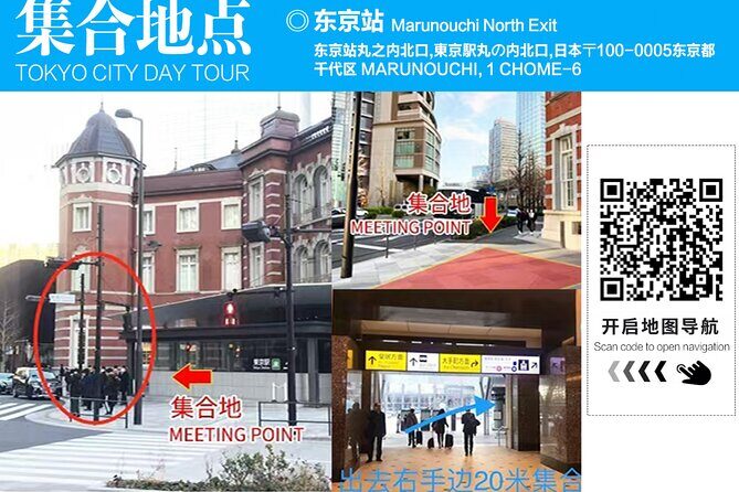 Tokyo Cherry Blossom Mt Fuji and Shibazakura Festival Day Trip - An In-Depth Review of the Tokyo Cherry Blossom Mt Fuji and Shibazakura Festival Tour