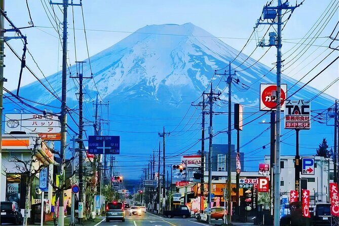 Tokyo Cherry Blossom Mt Fuji and Shibazakura Festival Day Trip - Final Thoughts