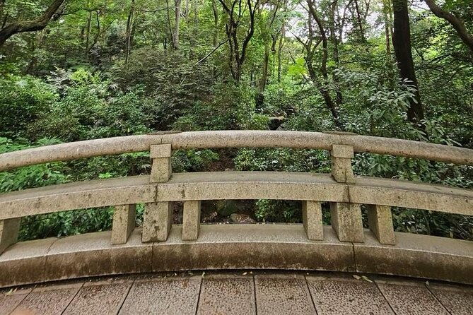 tokyo-cherry-blossom-private-one-day-tour