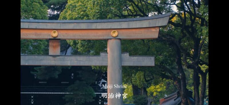 Tokyo: Cinematic Video Tour with Edited Clips - What to Expect from the Tokyo Cinematic Video Tour