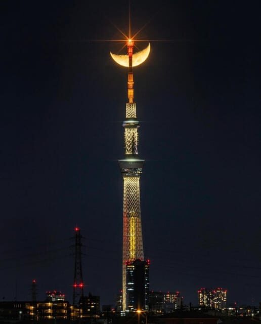 Tokyo city day tour with englisg speaking driver. - Breaking down the itinerary