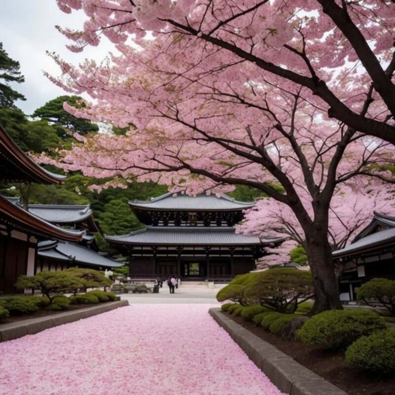 Tokyo City Must See Private Tour Sightseeing Full Customised - Exploring Tokyo in a Day: An In-Depth Review