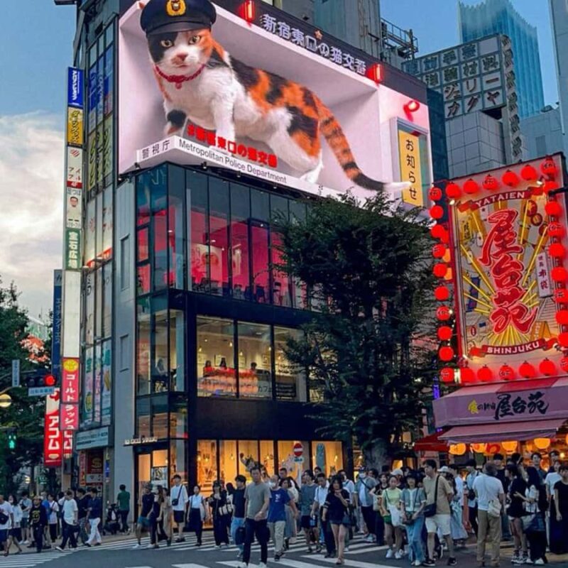 Tokyo City Private Catchy Tour With English Speaking Guide - Transportation and Practicalities