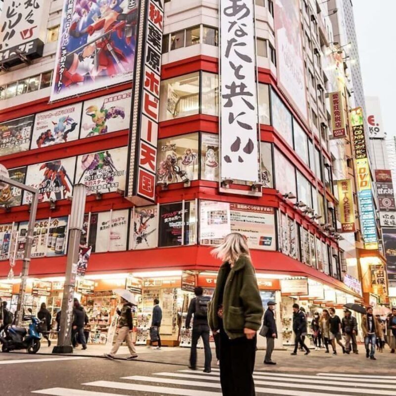 Tokyo City Private Day Tour By English Speaking Driver - A Deep Dive into the Experience